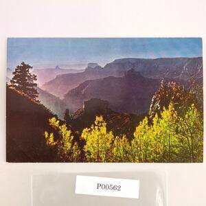 Grand Canyon National Park Arizona 1950s Postcard 1954 PC AZ Mike Roberts
